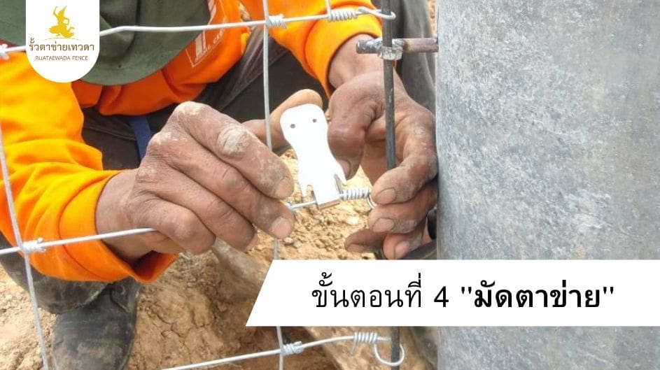 4.การติดตั้งรั้ว ขั้นตอนที่ 4 มัดตาข่ายให้ลวดชุบ