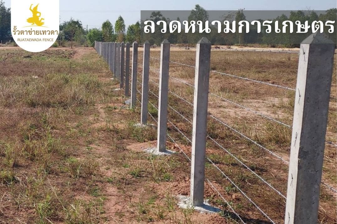 ลวดหนามล้อมการเกษตร
