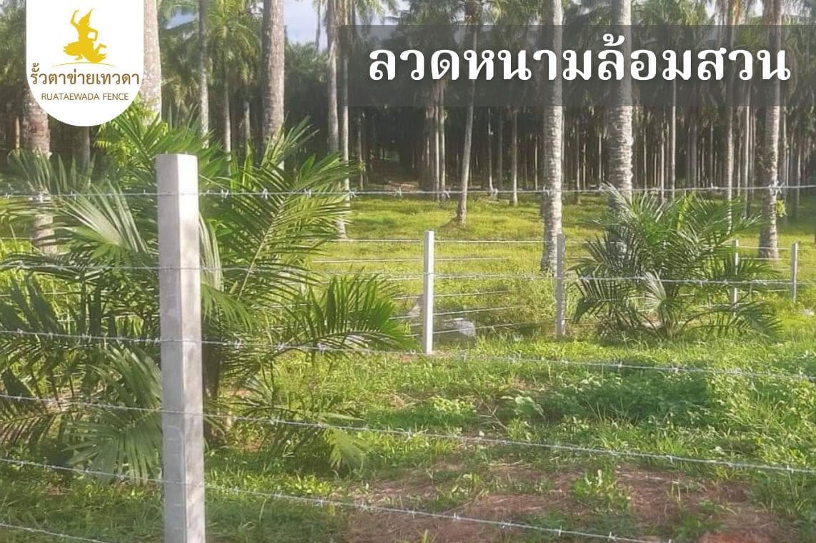 ลวดหนามล้อมสวน