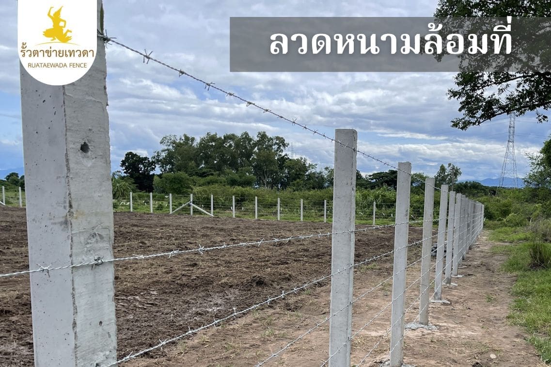 ลวดหนามล้อมเขตแดน (2)